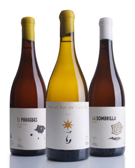 Las nuevas añadas de los vinos de Bodegas El Paraguas, ya a la venta